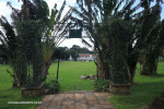 Durban-Robert-Jameson-Park-2020-14
