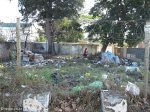 greyville-campbell-ave-empty-plot-s-29-50-331-e31-01-215