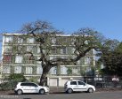 morningside-125-forida-rd-flats-s29-50-060-e31-01-065
