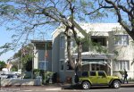morningside-florida-rd-the-benjamin-s-29-50-034-e31-01-036-elev-36m-1