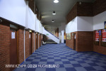 Greyville Race course (12)