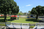 Greyville Race course (20)