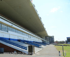 Greyville Race course (22)
