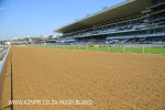 Greyville Race course (3)