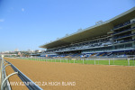 Greyville Race course (4)