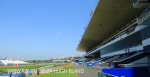 Greyville Race course (7)