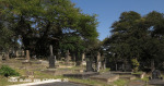 Groutville Congregational Church graveyard (2)
