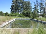 harding-swimming-baths-turner-street-_-harding-west-s-30-34-34-e-29-52-4