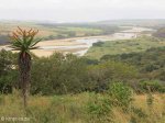 Fort Pearson - Harold Johnson Views of Tugela - S29.12.418 E 31.25.305 - Elev 85m (3)
