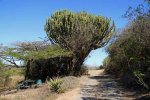 Harold Johnson Nature Reserve - Tugela - Picnic sites (4)