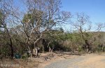 Harold Johnson Nature Reserve - Tugela - Picnic sites (7)