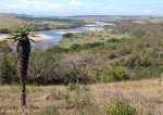 Harold Johnson Nature Reserve - Tugela - Tugela River easterly views (11)