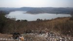 Hazelmere Dam - Umsinsi Reserve -  Dam Views (2)