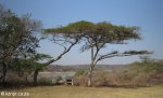 Hazelmere Dam - Umsinsi Reserve -  Facilities & Dam views (2)