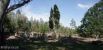 helpmekaar-military-cemetary-s28-26-852-e30-25-132-elev-1500m-2