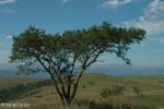 biggarsberg-noustroppas-pass-to-rorkes-drift-6