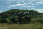 biggarsberg-noustroppas-pass-to-rorkes-drift-7