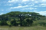 biggarsberg-noustroppas-pass-to-rorkes-drift-8