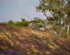 Haggards-Hilldrop-outbuildings-13