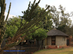 Haggards-Hilldrop-outbuildings-2