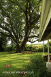 Hilton  The Cottage (6)