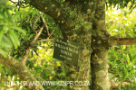 Hilton family grave William Tathan