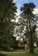 Hilton gardens