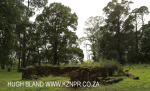 Hilton outbuildings (10)