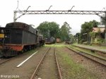 Hilton - Natal Railway Museum - Engines (16)