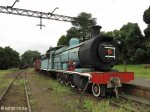 Hilton - Natal Railway Museum - Engines (17)