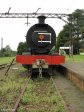 Hilton - Natal Railway Museum - Engines (18)