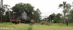 Hilton - Natal Railway Museum - Engines (25)