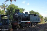 Hilton - Natal Railway Museum - Engines (39)