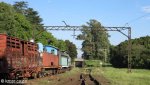 Hilton - Natal Railway Museum - Engines (42)