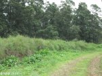 Hilton - Old rail route - Green Kloof Road - S29.33.02 E 30.17 (3)