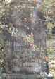 Himeville Cemetery - grave  Daniell Reynders