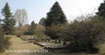 Himeville Cemetery - grave views