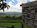 Hluhluwe - Hilltop Camp - Birds of Prey