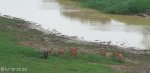 Hluhluwe - Hluhluwe dam & picnic site (3)