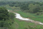 Hluhluwe - Hluhluwe dam & picnic site (4)