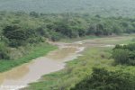 Hluhluwe - Hluhluwe dam & picnic site (5)