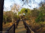 Hluhluwe - Munywaneni Bush Lodge - chalet walkways (5)