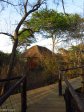 Hluhluwe - Munywaneni Bush Lodge - chalet walkways (6)