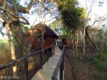 Hluhluwe - Munywaneni Bush Lodge - chalet walkways (8)
