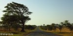 Hluhluwe - Entrance road from N2  (1)