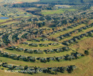 Howick Retirement Villages - Ambers - Amberfield and others (9)