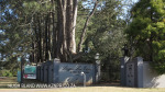 Howick 22 Fraser Street Biggie Best Cottages (1)