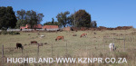 Midmar-farm-.2