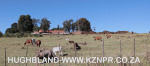 Midmar-farm-3