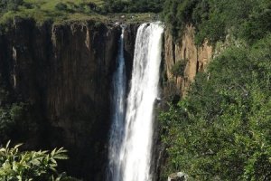 Howick and Midmar 177